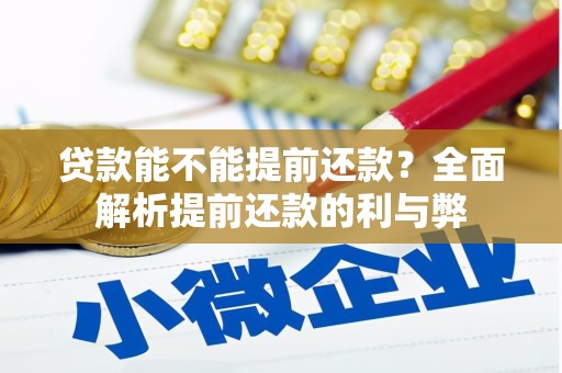 宜章贷款能不能提前还款？全面解析提前还款的利与弊