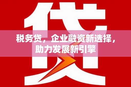 武冈税务贷，企业融资新选择，助力发展新引擎