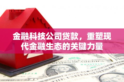 耀州金融科技公司贷款，重塑现代金融生态的关键力量
