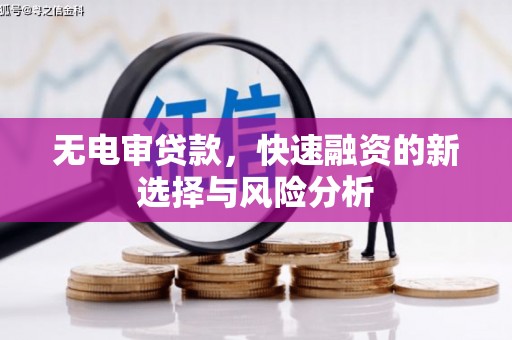 黔西无电审贷款，快速融资的新选择与风险分析