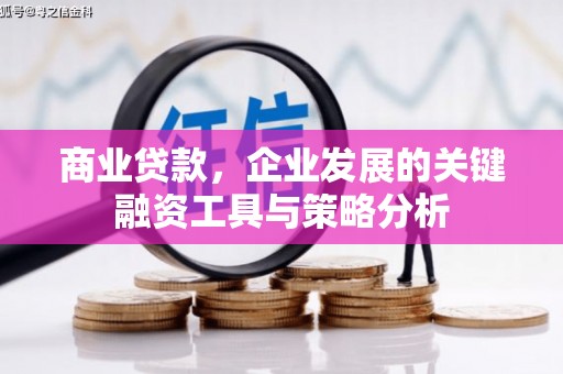 汕尾商业贷款，企业发展的关键融资工具与策略分析