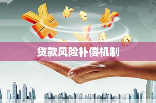 大石桥贷款风险补偿机制