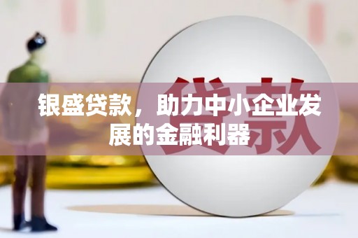 西青银盛贷款，助力中小企业发展的金融利器