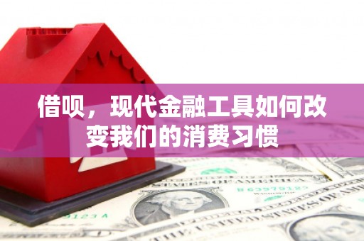 金湾借呗，现代金融工具如何改变我们的消费习惯
