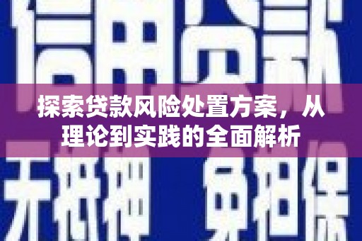 九龙探索贷款风险处置方案，从理论到实践的全面解析