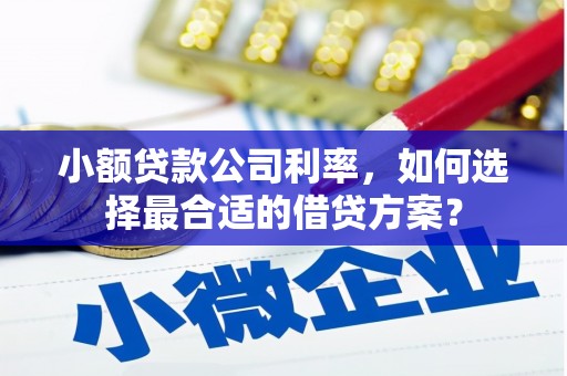 通渭小额贷款公司利率，如何选择最合适的借贷方案？