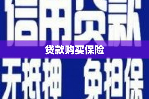 狮潭贷款购买保险