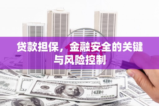 东阳贷款担保，金融安全的关键与风险控制