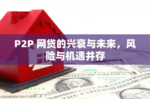 舞阳P2P 网贷的兴衰与未来，风险与机遇并存