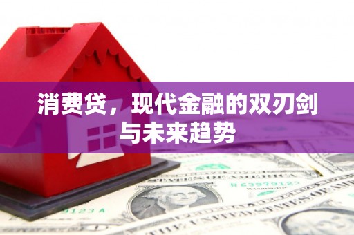 禹州消费贷，现代金融的双刃剑与未来趋势