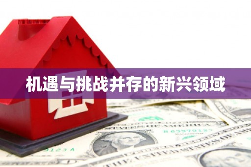 龙沙机遇与挑战并存的新兴领域