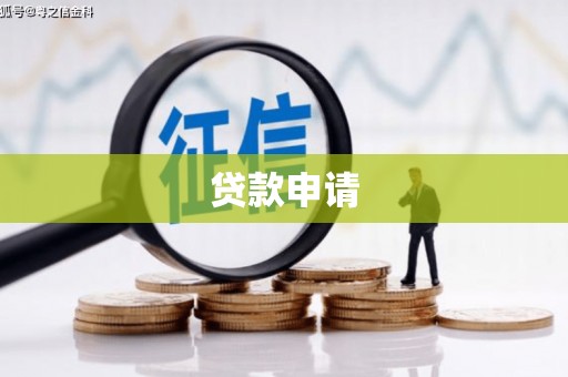沿河贷款申请