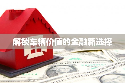 荔城解锁车辆价值的金融新选择