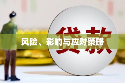 镇原风险、影响与应对策略