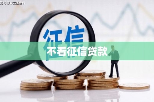 叶县不看征信贷款