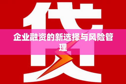 丰城企业融资的新选择与风险管理