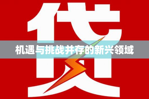 定兴机遇与挑战并存的新兴领域