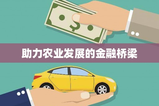 镇康助力农业发展的金融桥梁