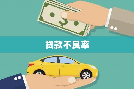 东宝贷款不良率